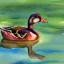 Placeholder:  watercolour painting of a duck in a pond