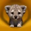 Placeholder: pixar art style of cute baby leopard dog in natural environment, big round eyes, monotone color, full body, au naturel, hyper detailed, digital art, trending in artstation,cinematic lighting, studio quality, smooth render, unreal engine 5 rendered, octane rendered, art style by klimt and nixeu and ian sprigger and wlop and krenz cushart