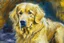 Placeholder: style of Frank Auerbach, Golden retriever dog