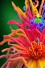 Placeholder: a very beautiful, colorful, and strange flower that looks a bit like a protein