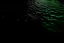 Placeholder: Dark green water/almost black I’m under the surface