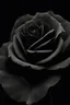 Placeholder: Close up of a black rose, inside the rose is a faint image of a beautiful woman, highly realistic, Gothic, sad, 8k quality, abstract background