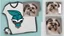 Placeholder: Charlotte hornets logo shih tzu