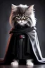 Placeholder: fluffy kitty sith lord