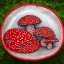 Placeholder: Red large Amanita muscaria mushrooms in a silver basket , Patchwork art,high detailed,dynamic colors,intricate.