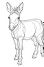 Placeholder: outline art for Colt (Donkey) coloring pages with sitch, white background, Sketch style, full body, only use outline, toddlers style, clean line art, white background, no shadows and clear and well outlined.