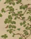 Placeholder: 17th-century chinoiserie design of bare leafless invasive vines