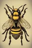 Placeholder: نحلة تصلي