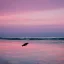 Placeholder: turtle and pink sky and pink sea