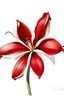 Placeholder: Amaryllis Red painting on white