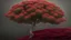 Placeholder: red flower tree isolated include clipping path