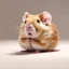 Placeholder: If I had a hamster