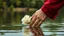 Placeholder: Young woman hand holding man's hand , close a white rose swims on the water, in the blur background a lake, some green trees, ultra detailed, sharp focus, perfect anatomy, perfect hands with fingers, perfect photo