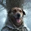 Placeholder: close up of sad, abandoned, miserable dog chained to a tree, Grim Reaper standing nearby, winter, house, 8k resolution, high-quality, fine-detail, intricate, digital art, detailed matte, volumetric lighting, illustration, 3D octane render, brian froud, howard lyon, selina french, anna dittmann, annie stokes, lisa parker, greg rutowski