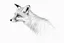 Placeholder: faint sketch of a fox’s head
