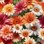 Placeholder: gerbera daisy flower on white background, illustration, seamless texture