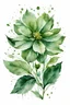 Placeholder: green flower water color on white background