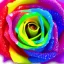 Placeholder: transparent multicolor crystal rose