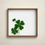 Placeholder: A simple wooden frame without decoration in St. Patrick's green with small clover leaves with a light background for removal