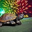 Placeholder: Turtle and Fireworks