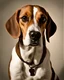 Placeholder: a beagle posing for a photo, in the style of contrasting lights and darks, spanish school, social media portraiture, jonathan wolstenholme, cinestill 50d, jusepe de ribera, mary beale