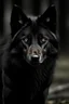 Placeholder: Most attractive black wolf at beautiful dark places