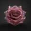 Placeholder: Crystal Rose