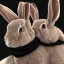 Placeholder: Rabbit face with scarf, black background, portrait, unreal engine 5, realistic, diffuse lighting