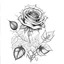 Placeholder: TATTO DESIGN ON PAPPER NEO-TRADITIONAL ROSE LINE ART OUTLINE ONLY BLACK AND WHITE