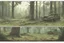 Placeholder: clearing forest,overgrown, post-apocalyptic, comic book, cinematic
