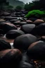 Placeholder: The rain and the rocks