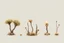 Placeholder: "Isolated concept art of multiple types of alien tree plant on a plain neutral background. Designed for Desert biome – dry, spiky, brittle grass with sharp edges, , and pale dusty colors