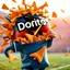 Placeholder: Doritos Crash the Superbowl