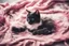 Placeholder: double exposure, merged layers, painted and burned burlap, cute chibi anime black and white cat lying on a pink blanket, melting watercolor and black ink outlines on wet paper, soft, shading strokes, in sunshine, ethereal, otherwordly, cinematic postprocessing, bokeh, dof