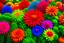 Placeholder: Colorful and beautiful plants .
