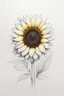 Placeholder: A Minimalist white ink pencil and white drawing of white and very light yellow in the center a sunflower in a white background