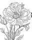 Placeholder: real massive only Lisianthus flower, coloring page, no leaves, full body (((((white background))))), only use an outline., real style, line art, white color, clean line art, white background, Sketch style