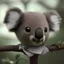 Placeholder: universe koala happy floating