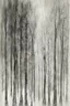 Placeholder: Minimalist rough abstract dusty Charcoal drawing of trees on a textured gesso background.