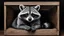 Placeholder: A black and white photo of a raccoon in a wooden box, scratchboard artwork by Caroline Lucy Scott, photorealism, beautiful painting on black canvas, etching, oil on canvas, miranda meeks, black ink drawing, large pastel, ignacio fernandez rios,