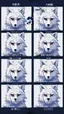 Placeholder: feral, White fur, Werewolf, Red eyes, character, full body portrait, expert, insanely detailed, 4k resolution, cinematic smooth, intricate detail, fluffy, award wining portrait, fursona, fox, anthropomorphic fox, werefox, male