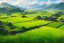 Placeholder: Beautiful Digital Painting Landscape Small village, surrounded rice paddy fields, photoshoot fromfar