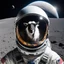 Placeholder: a close up on the helmet of a spacesuit on a moon, a goat reflected in the glass of his helmet