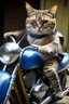 Placeholder: cat drivinga motorbike