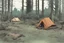 Placeholder: campsite, tents, overgrown, post-apocalyptic, comic book, forest