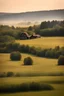 Placeholder: meadow on the edge of the forest. picture whitout buildings