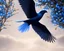 Placeholder: a detailed illustration of a black and blue phoenix sitting on a branch of a tree, phoenix bird wallpaper, luminescent body, glinting wings, full body, symmetrical body, realistic, glowing wings, sharp focus, meticulously detailed, soft evening sky, 64k