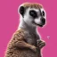 Placeholder: meerkat donut in the mouth, pink background, high details, 8k, hyper realistic