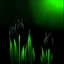 Placeholder: Create black tulip and green background
