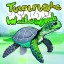 Placeholder: turtle fantasy world